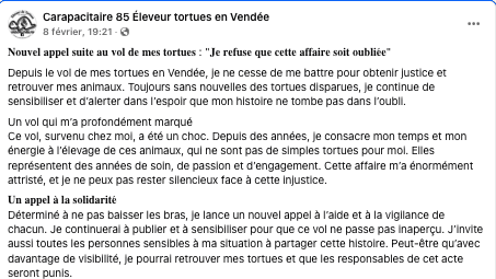 tortue appel à l'aide