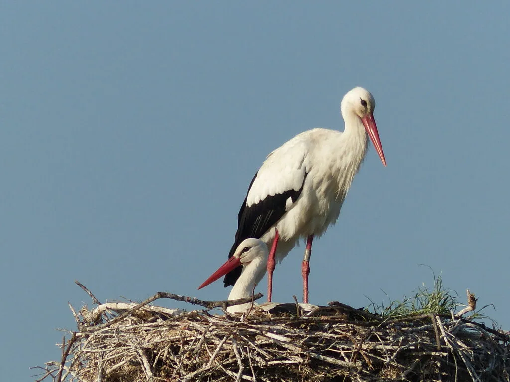 équipe RNR Marais de la Vacherie