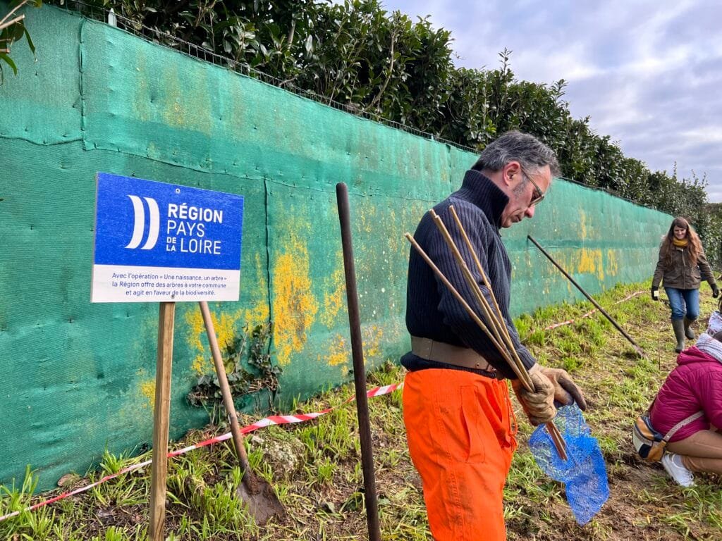 Une naissance, un arbre 6