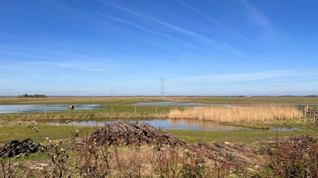 Vue panoramique des marais, avec ses étendues d’eau et ses prairies, témoignant de la richesse de cet écosystème fragile.