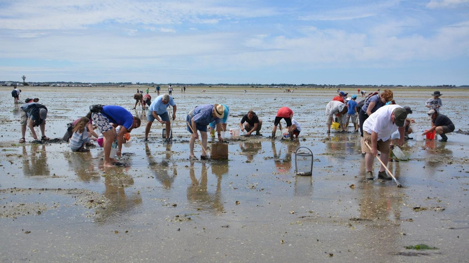 Photographie de personnes pratiquant la pêche à pied sur l'île de Noirmoutier, en Vendée.